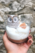 🦉 Bougie HIBOU D'AUTOMNE